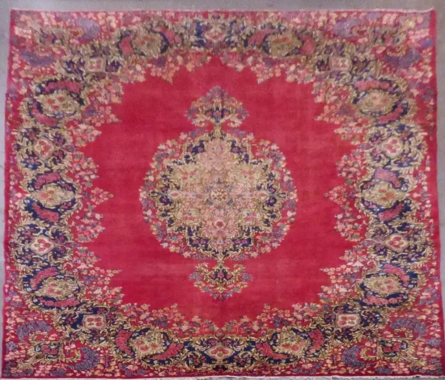 P1090924T Medium 7ee425a6 cfe1 4211 9024 764378f8a0b4